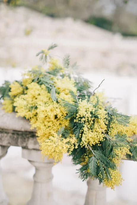 Flowers in the Hair with Katie